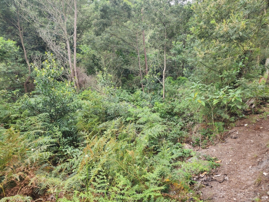 0 Bedroom Property for Sale in Suurbraak Western Cape